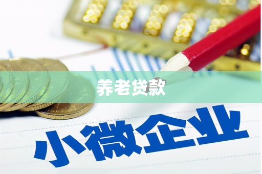 津南养老贷款