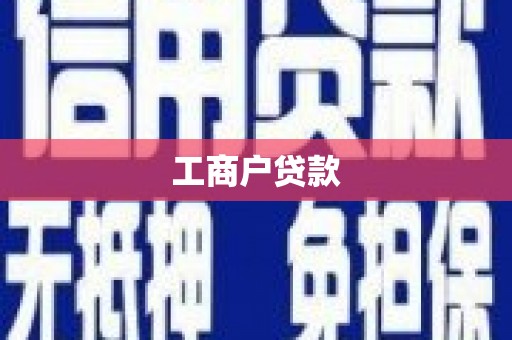 津南工商户贷款