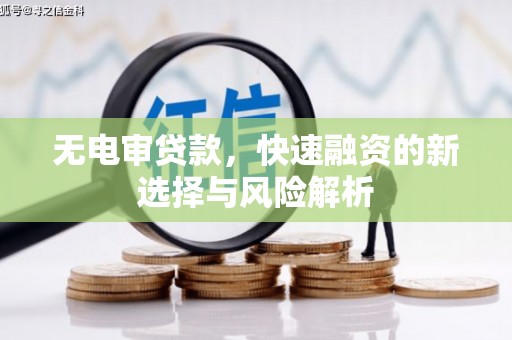 津南无电审贷款，快速融资的新选择与风险解析