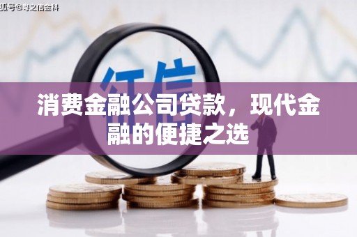津南消费金融公司贷款，现代金融的便捷之选