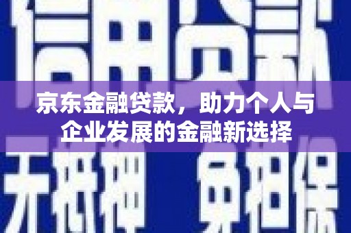 津南京东金融贷款，助力个人与企业发展的金融新选择
