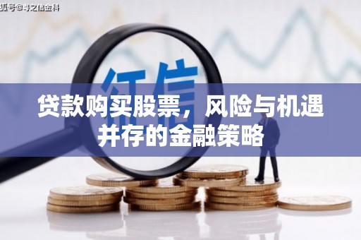 津南贷款购买股票，风险与机遇并存的金融策略