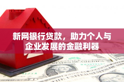 津南新网银行贷款，助力个人与企业发展的金融利器