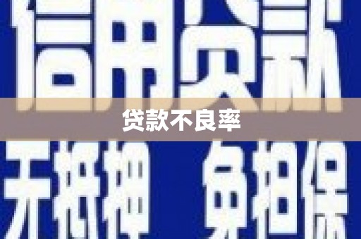 津南贷款不良率