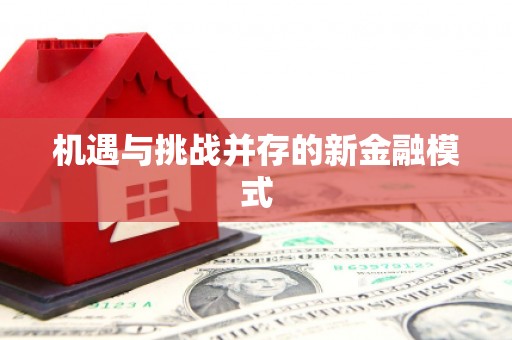 津南机遇与挑战并存的新金融模式