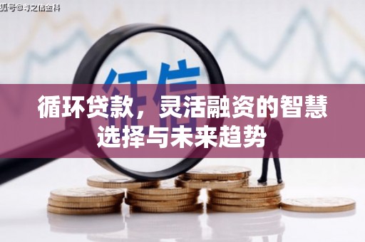 津南循环贷款，灵活融资的智慧选择与未来趋势