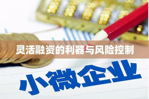 津南灵活融资的利器与风险控制