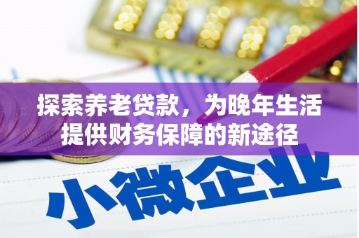 津南探索养老贷款，为晚年生活提供财务保障的新途径