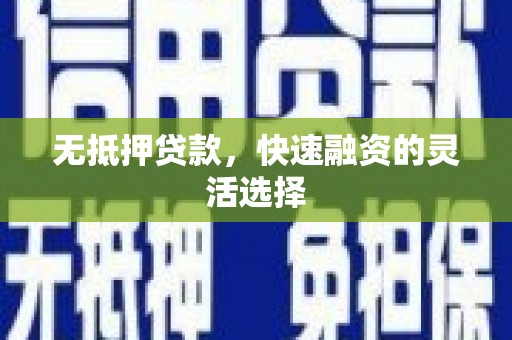 津南无抵押贷款，快速融资的灵活选择