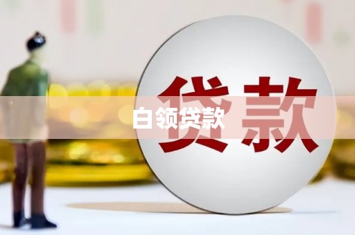 津南白领贷款