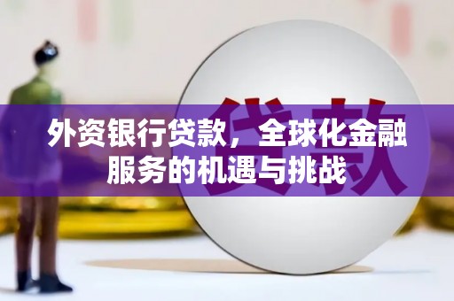 津南外资银行贷款，全球化金融服务的机遇与挑战