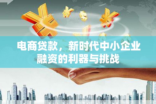 津南电商贷款，新时代中小企业融资的利器与挑战