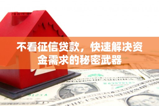 津南不看征信贷款，快速解决资金需求的秘密武器
