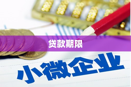 津南贷款期限