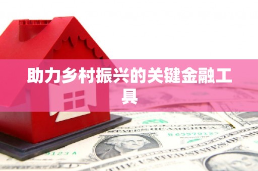 津南助力乡村振兴的关键金融工具