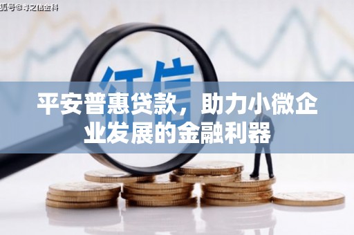 津南平安普惠贷款，助力小微企业发展的金融利器