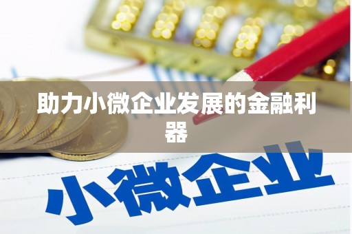 津南助力小微企业发展的金融利器
