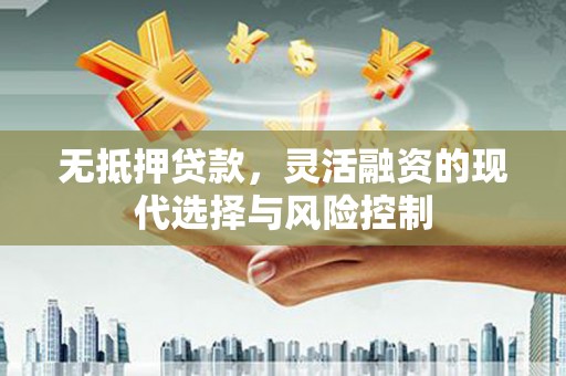 津南无抵押贷款，灵活融资的现代选择与风险控制