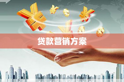津南贷款营销方案