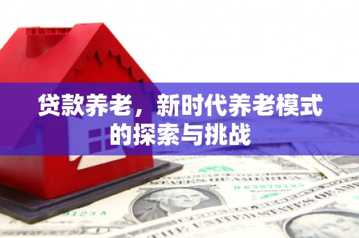 津南贷款养老，新时代养老模式的探索与挑战