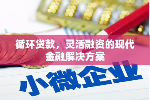 津南循环贷款，灵活融资的现代金融解决方案
