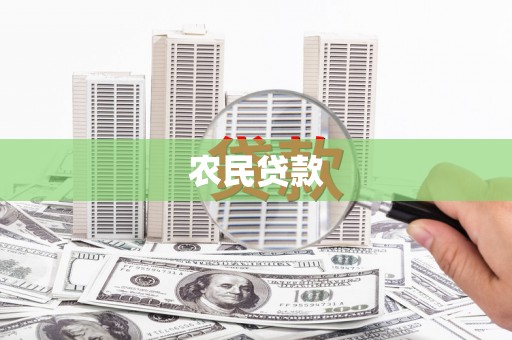 津南农民贷款