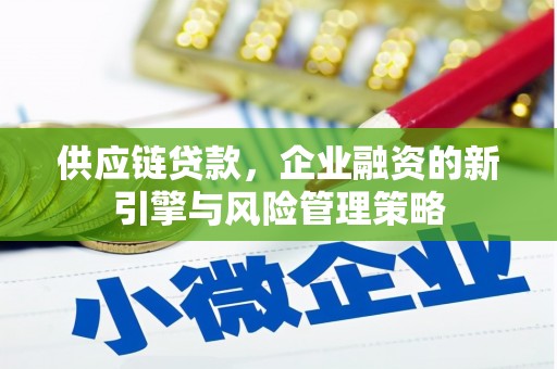 津南供应链贷款，企业融资的新引擎与风险管理策略