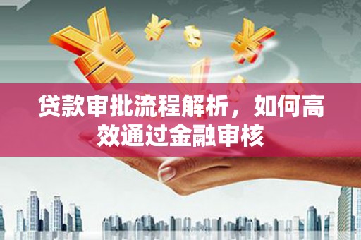 津南贷款审批流程解析，如何高效通过金融审核
