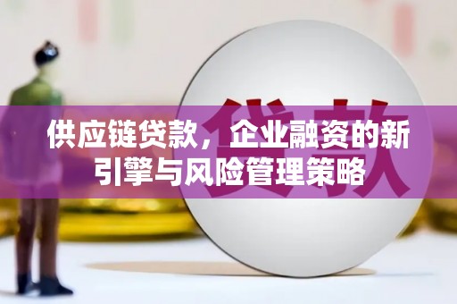 津南供应链贷款，企业融资的新引擎与风险管理策略