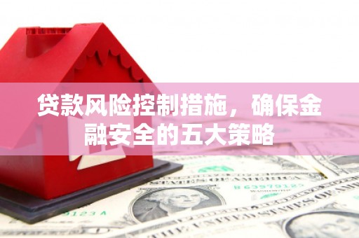 津南贷款风险控制措施，确保金融安全的五大策略