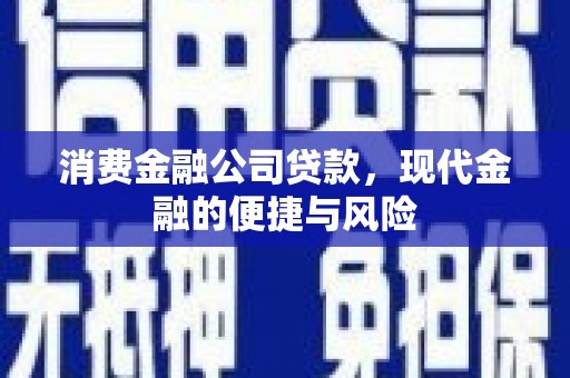 津南消费金融公司贷款，现代金融的便捷与风险