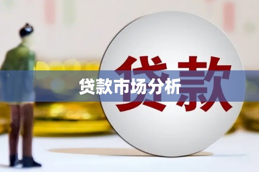 津南贷款市场分析