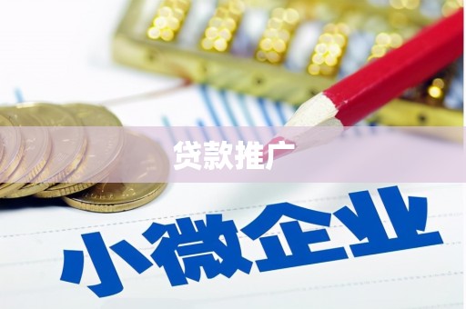 津南贷款推广