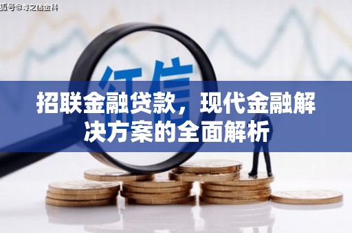 津南招联金融贷款，现代金融解决方案的全面解析