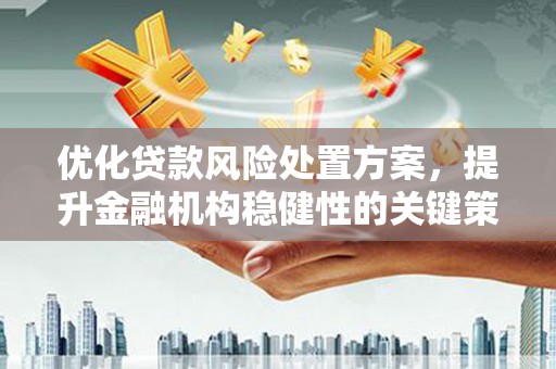 津南优化贷款风险处置方案，提升金融机构稳健性的关键策略