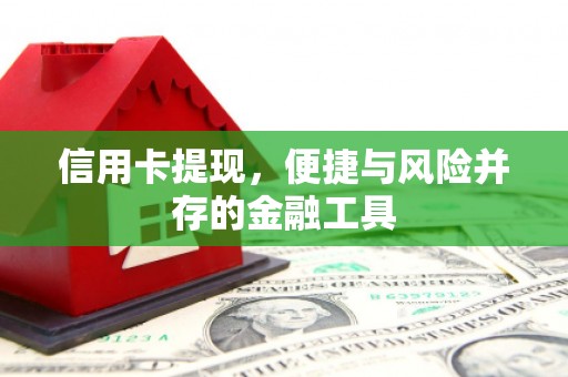 津南信用卡提现，便捷与风险并存的金融工具
