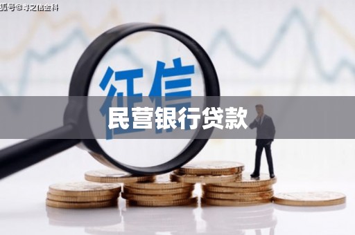 津南民营银行贷款