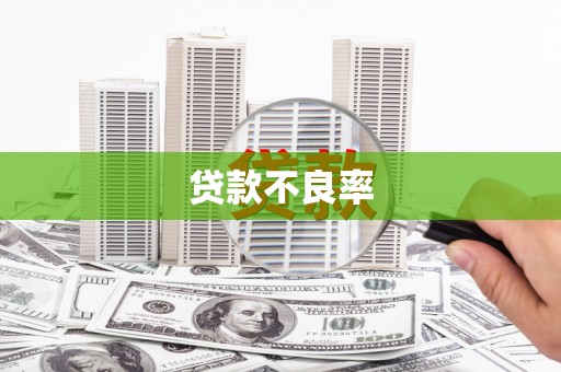 津南贷款不良率
