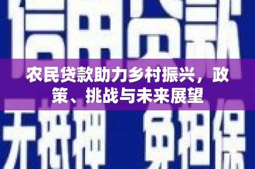 津南农民贷款助力乡村振兴，政策、挑战与未来展望