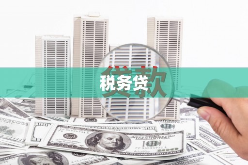 津南税务贷