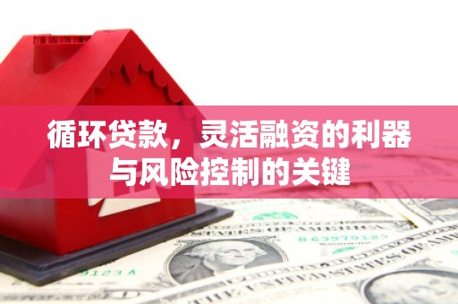 津南循环贷款，灵活融资的利器与风险控制的关键