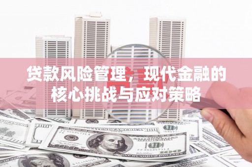 津南贷款风险管理，现代金融的核心挑战与应对策略