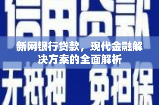 津南新网银行贷款，现代金融解决方案的全面解析