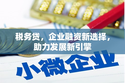 津南税务贷，企业融资新选择，助力发展新引擎