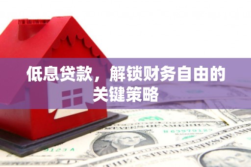 津南低息贷款，解锁财务自由的关键策略