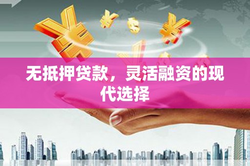 津南无抵押贷款，灵活融资的现代选择