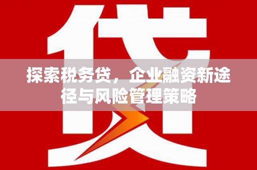 津南探索税务贷，企业融资新途径与风险管理策略
