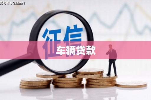 津南车辆贷款