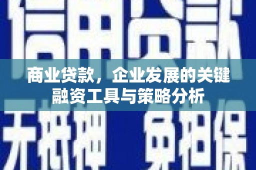 津南商业贷款，企业发展的关键融资工具与策略分析