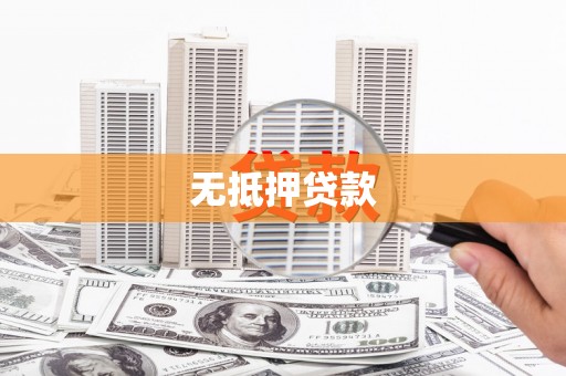 津南无抵押贷款